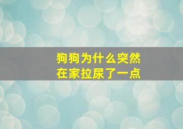 狗狗为什么突然在家拉尿了一点