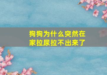 狗狗为什么突然在家拉尿拉不出来了