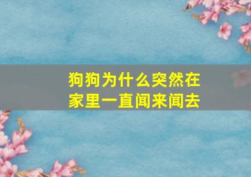 狗狗为什么突然在家里一直闻来闻去