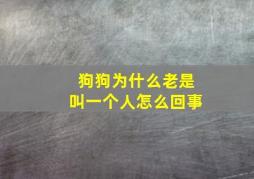 狗狗为什么老是叫一个人怎么回事