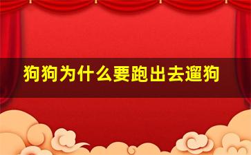 狗狗为什么要跑出去遛狗