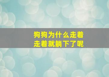 狗狗为什么走着走着就躺下了呢