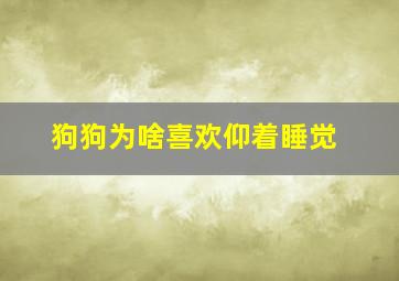 狗狗为啥喜欢仰着睡觉