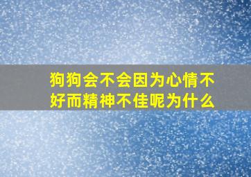 狗狗会不会因为心情不好而精神不佳呢为什么