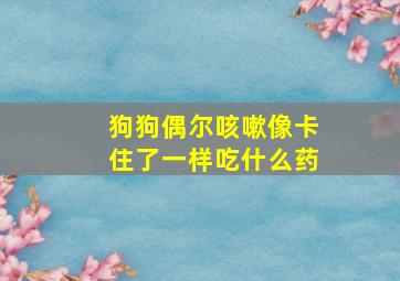 狗狗偶尔咳嗽像卡住了一样吃什么药