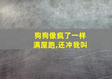 狗狗像疯了一样满屋跑,还冲我叫