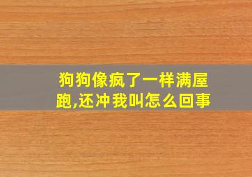 狗狗像疯了一样满屋跑,还冲我叫怎么回事