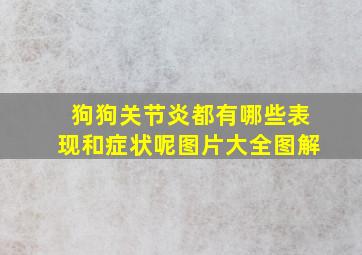 狗狗关节炎都有哪些表现和症状呢图片大全图解