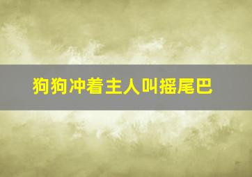 狗狗冲着主人叫摇尾巴