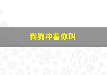 狗狗冲着你叫