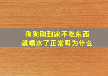 狗狗刚到家不吃东西就喝水了正常吗为什么