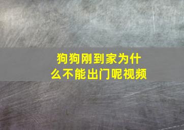 狗狗刚到家为什么不能出门呢视频