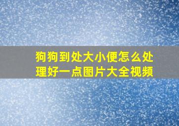 狗狗到处大小便怎么处理好一点图片大全视频