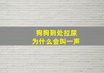 狗狗到处拉尿为什么会叫一声