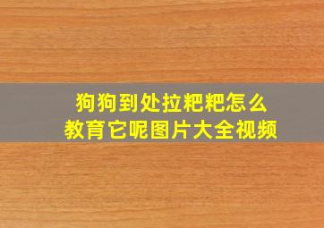 狗狗到处拉粑粑怎么教育它呢图片大全视频