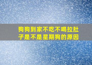 狗狗到家不吃不喝拉肚子是不是星期狗的原因