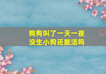 狗狗叫了一天一夜没生小狗还能活吗