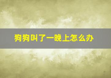 狗狗叫了一晚上怎么办