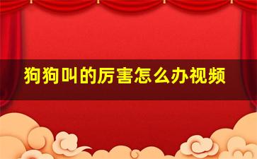 狗狗叫的厉害怎么办视频