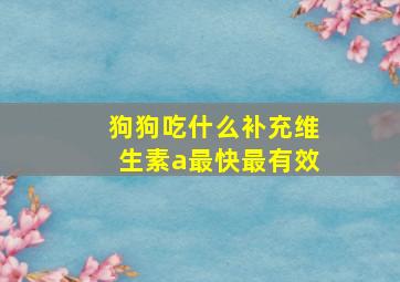 狗狗吃什么补充维生素a最快最有效