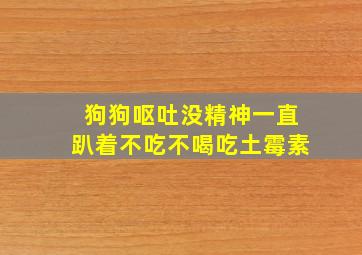 狗狗呕吐没精神一直趴着不吃不喝吃土霉素