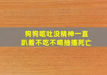 狗狗呕吐没精神一直趴着不吃不喝抽搐死亡