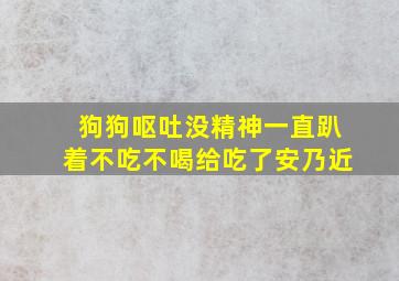 狗狗呕吐没精神一直趴着不吃不喝给吃了安乃近