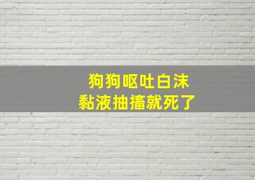 狗狗呕吐白沫黏液抽搐就死了