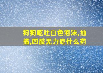 狗狗呕吐白色泡沫,抽搐,四肢无力吃什么药