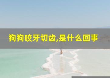 狗狗咬牙切齿,是什么回事