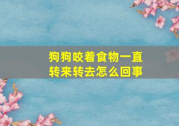 狗狗咬着食物一直转来转去怎么回事