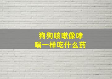 狗狗咳嗽像哮喘一样吃什么药