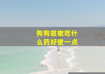 狗狗咳嗽吃什么药好使一点