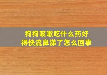 狗狗咳嗽吃什么药好得快流鼻涕了怎么回事