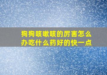 狗狗咳嗽咳的厉害怎么办吃什么药好的快一点