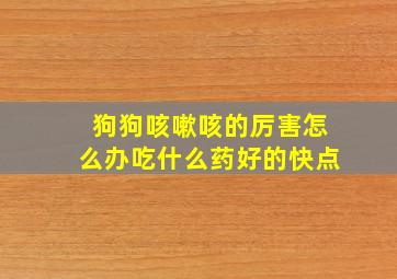 狗狗咳嗽咳的厉害怎么办吃什么药好的快点