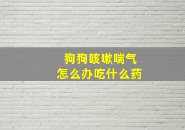 狗狗咳嗽喘气怎么办吃什么药