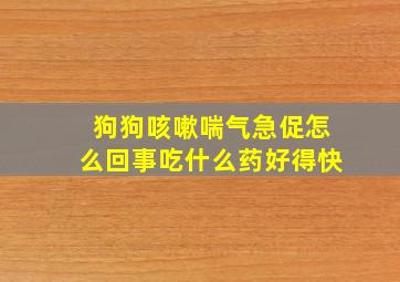 狗狗咳嗽喘气急促怎么回事吃什么药好得快