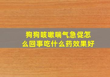 狗狗咳嗽喘气急促怎么回事吃什么药效果好