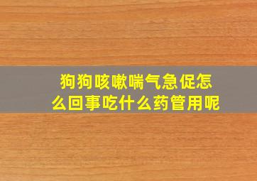 狗狗咳嗽喘气急促怎么回事吃什么药管用呢