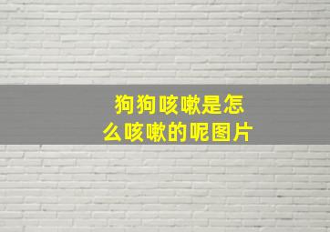 狗狗咳嗽是怎么咳嗽的呢图片