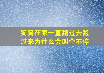 狗狗在家一直跑过去跑过来为什么会叫个不停