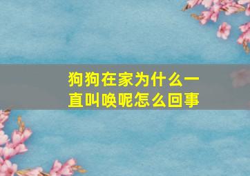 狗狗在家为什么一直叫唤呢怎么回事