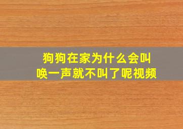 狗狗在家为什么会叫唤一声就不叫了呢视频