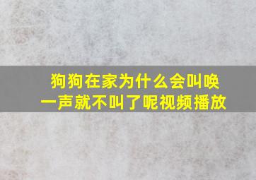 狗狗在家为什么会叫唤一声就不叫了呢视频播放