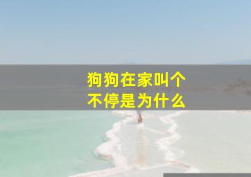 狗狗在家叫个不停是为什么