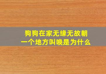 狗狗在家无缘无故朝一个地方叫唤是为什么