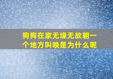 狗狗在家无缘无故朝一个地方叫唤是为什么呢