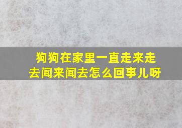 狗狗在家里一直走来走去闻来闻去怎么回事儿呀