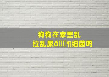 狗狗在家里乱拉乱尿🈶细菌吗